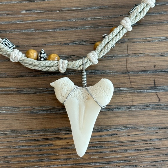 Shark tooth choker necklace - Picture 5 of 7
